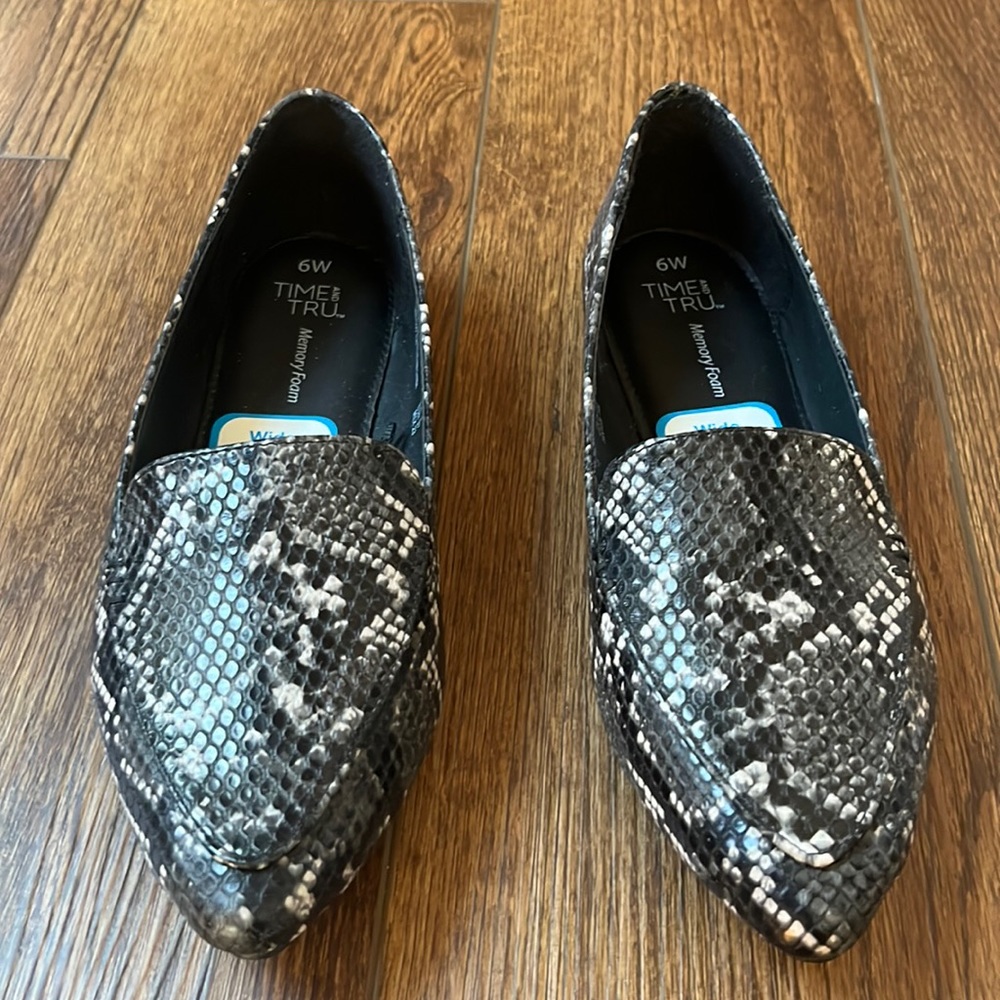 Brand new time and tru pump